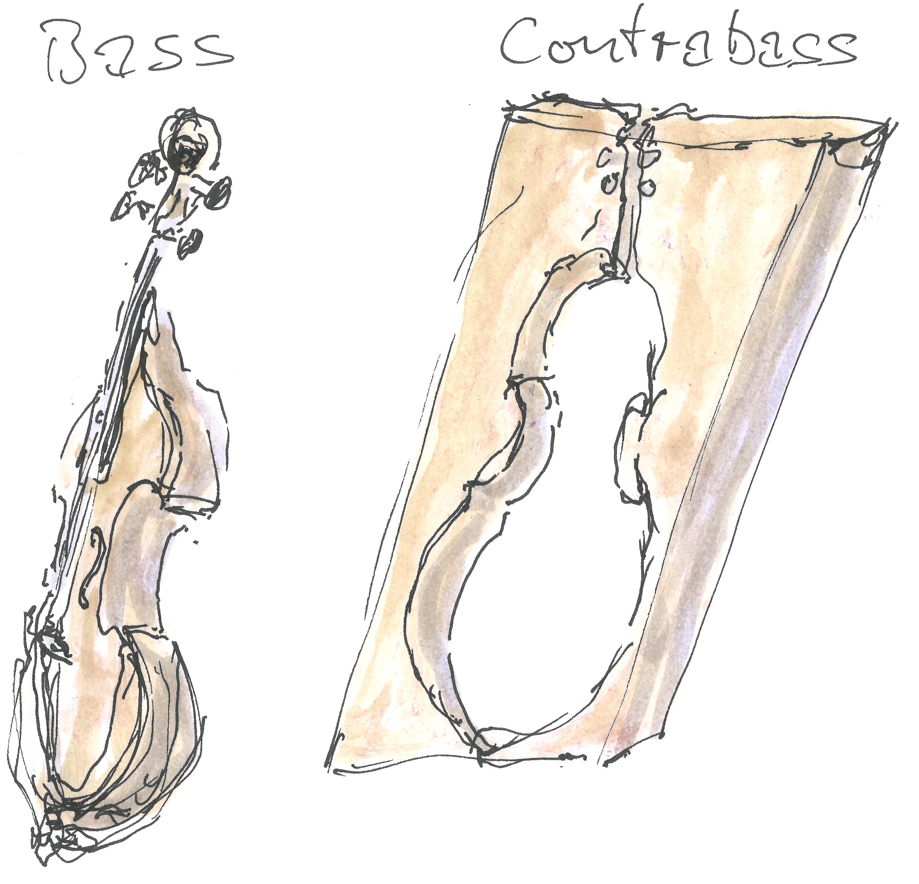 Bass and contrabass